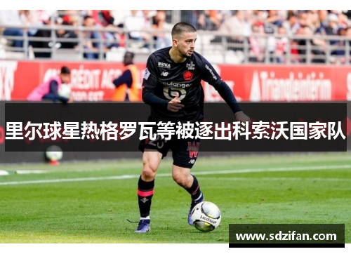 里尔球星热格罗瓦等被逐出科索沃国家队